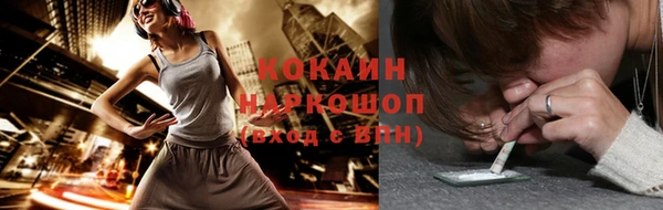 индика Тобольск