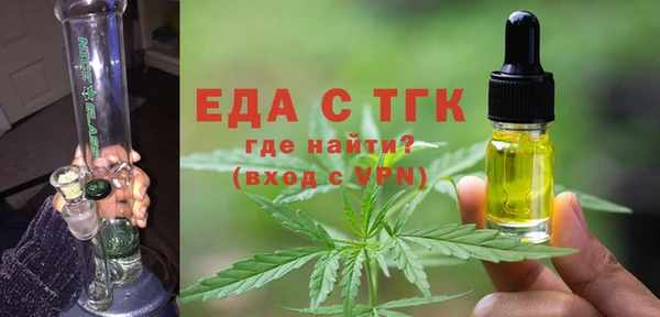 индика Тобольск