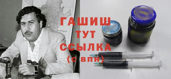 индика Тобольск