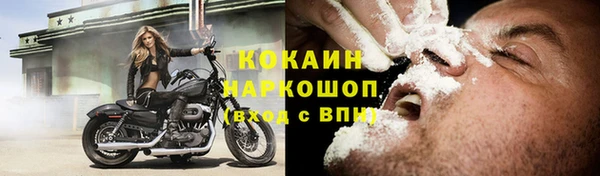 индика Тобольск