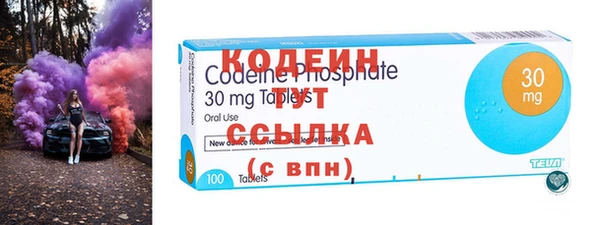 индика Тобольск