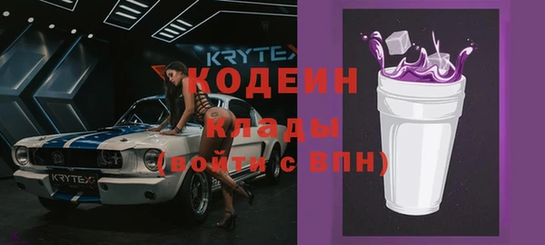 индика Тобольск