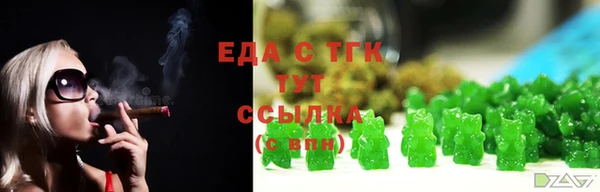 индика Тобольск