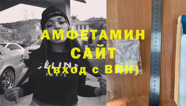 индика Тобольск