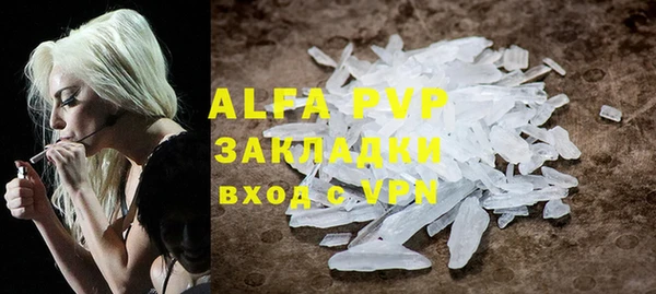 индика Тобольск