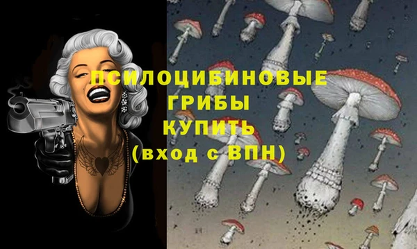 индика Тобольск