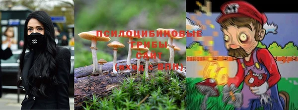 индика Тобольск