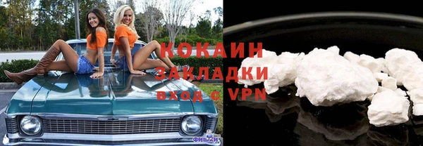 индика Тобольск
