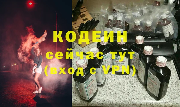 индика Тобольск