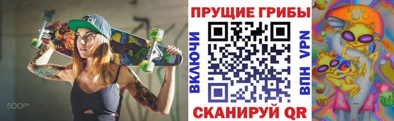 Псилоцибиновые грибы MAGIC MUSHROOMS  Цивильск 