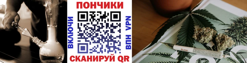 продажа наркотиков  Цивильск  Бошки марихуана конопля 